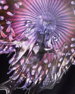 Czarny t-shirt z nadrukiem Orchid Anemone